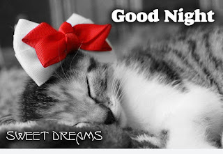 GOOD NIGHT TONIGHT HD DESKTOP WALLPAPER PHOTOS