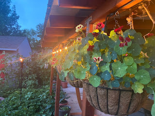 Hanging Flowers on Patio