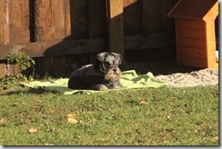 IMG_1690