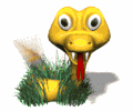 image002