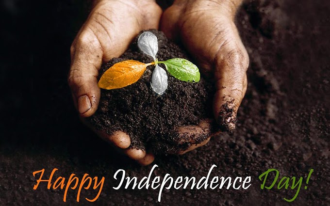 Independence Day Wishes