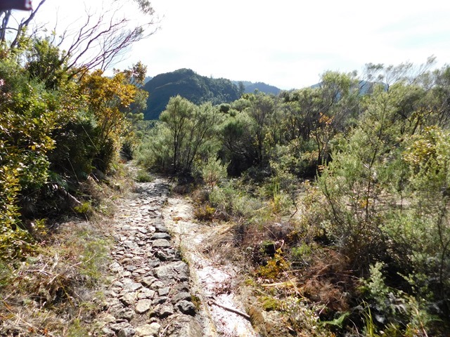 DSCN0293