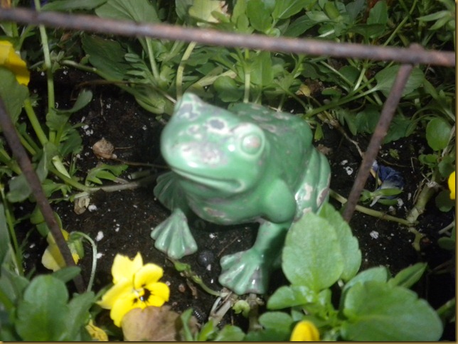 DSCN3938