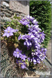 jardin écossais scotish garden