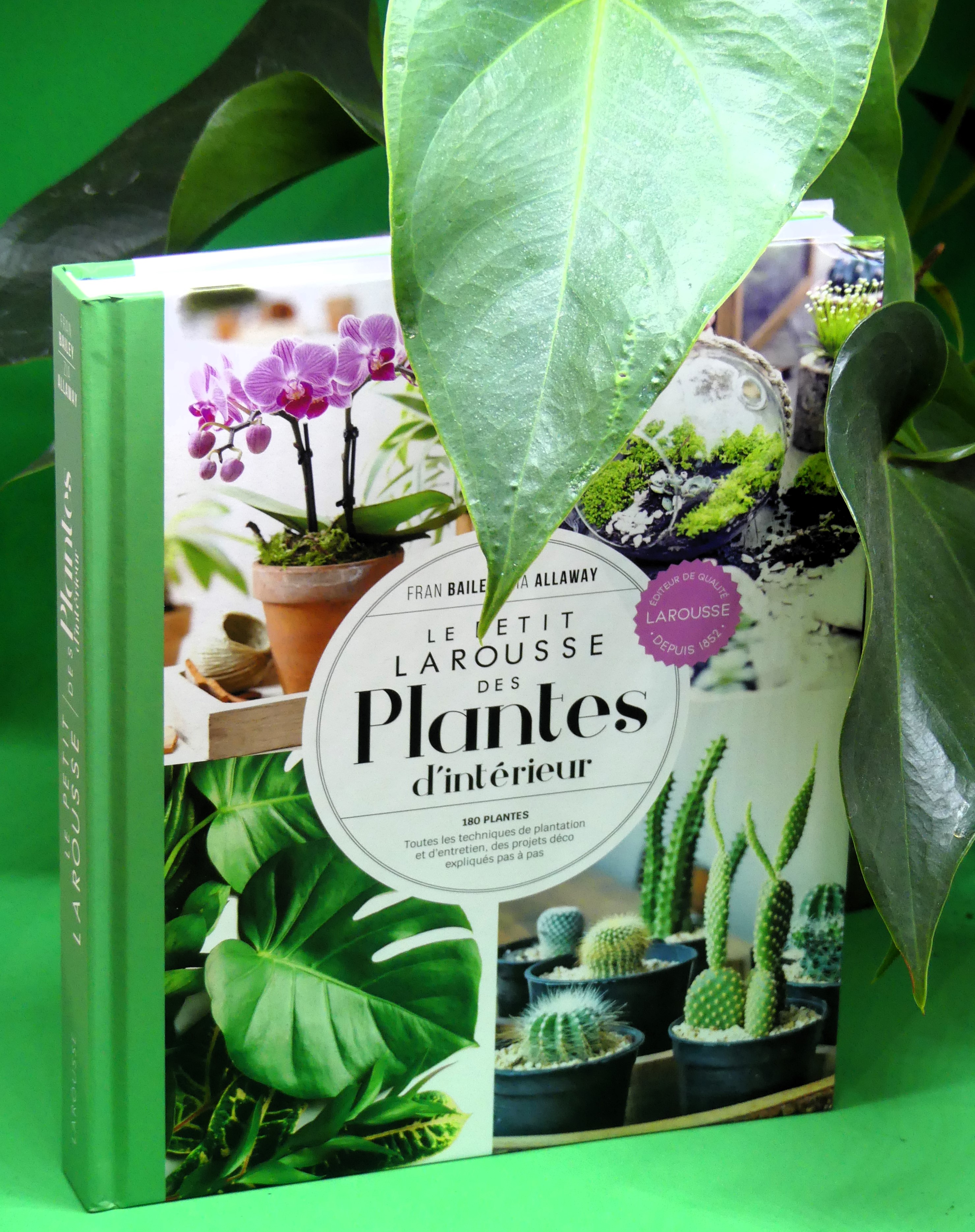 Le petit Larousse des plantes d'intérieur