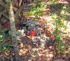 clip_image016