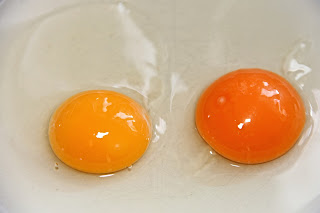 białko-i-żółtko-jaja
