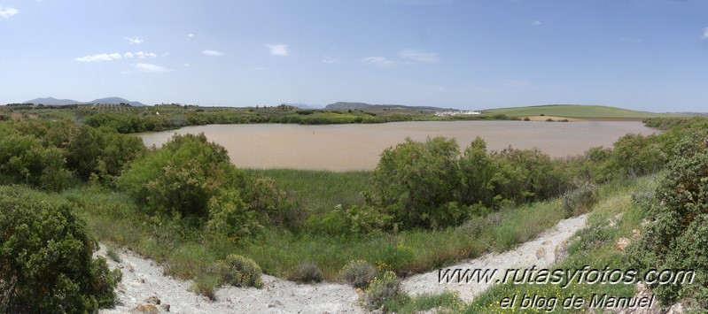 Laguna de Fuente de Piedra y Lagunas de Campillos