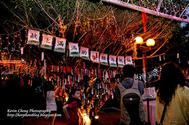 _DSC0470 copy