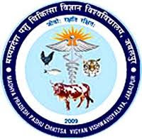 Jobs of Assistant Veterinary Field Officer in Madhya Pradesh Pashu-Chikitsa Vigyan Vishwavidyalaya 