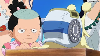 ワンピースアニメ ドレスローザ編 655話 モモの助 | ONE PIECE Episode 655