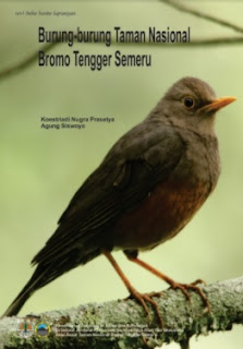 burung di taman nasional bromo tengger semeru