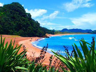 New Zealand Beach Wallpaper