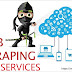 Web data scraping services