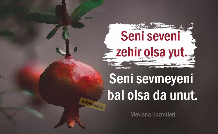 Resimli Kısa ve Özlü Mevlana Sözleri - Seni seveni zehir olsa yut. Seni sevmeyeni bal olsa da unut.