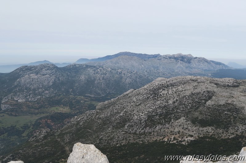 Sierra de los Pinos por las Pulgas