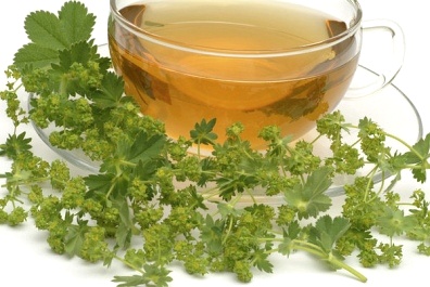 Lady’s Mantle – Perfect Cure For Female Diseases