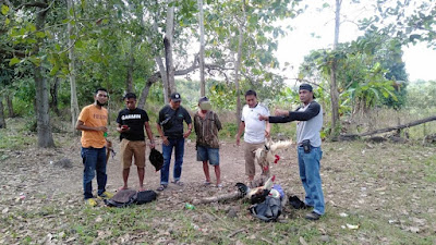 Dusun Tanrutedong Desa Garanta Ujung Loe yang di Jadikan tempat Judi Sabung Ayam di Grebek Personel Polsek Ujung Loe 