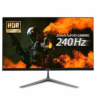 NEWSYNC X250FG Gaming Monitor 