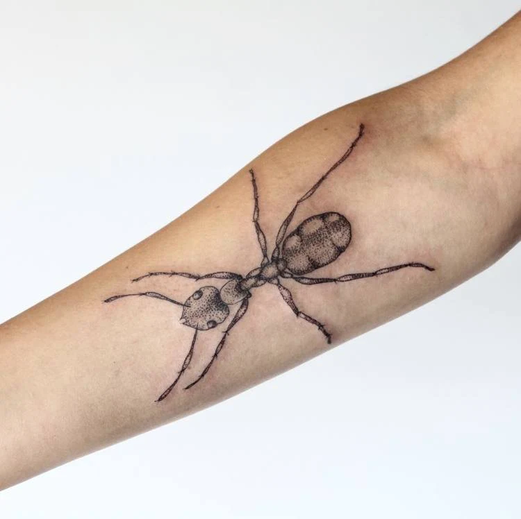 Tatuaje de hormigas por finerach