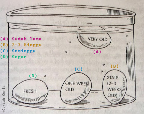 cara memilih telur yang baik