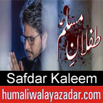 https://humaliwalaazadar.blogspot.com/2019/08/safdar-kaleem-nohay-2020.html