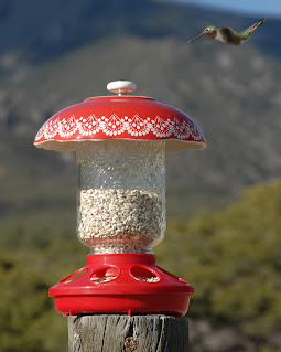 diy mason jar bird feeder and hummingbird