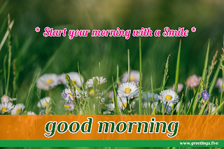 start your morning with smile! Good morning message with white flowers