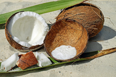 Why do we use coconuts in Puja? 