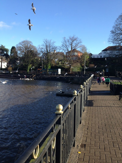 Seagulls, lake, promenade and some people