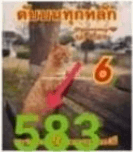 Thailand Lottery 3up Cut Digit 16-10-2022-Thai Lottery 100% Sure Cut Digit 16-10-2022.