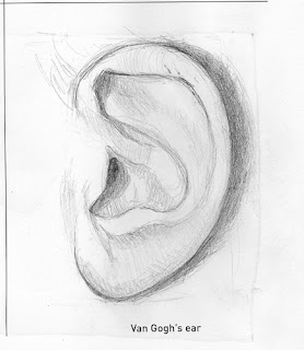 Graphite ear rendered by ©Ana Tirolese