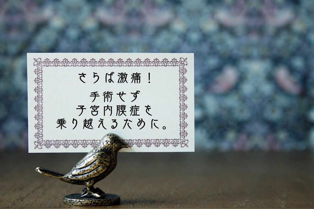 さらば激痛！手術せず子宮内膜症を乗り越えるために。 