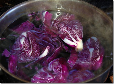 red cabbage dye pot 1