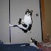 Ninja cat