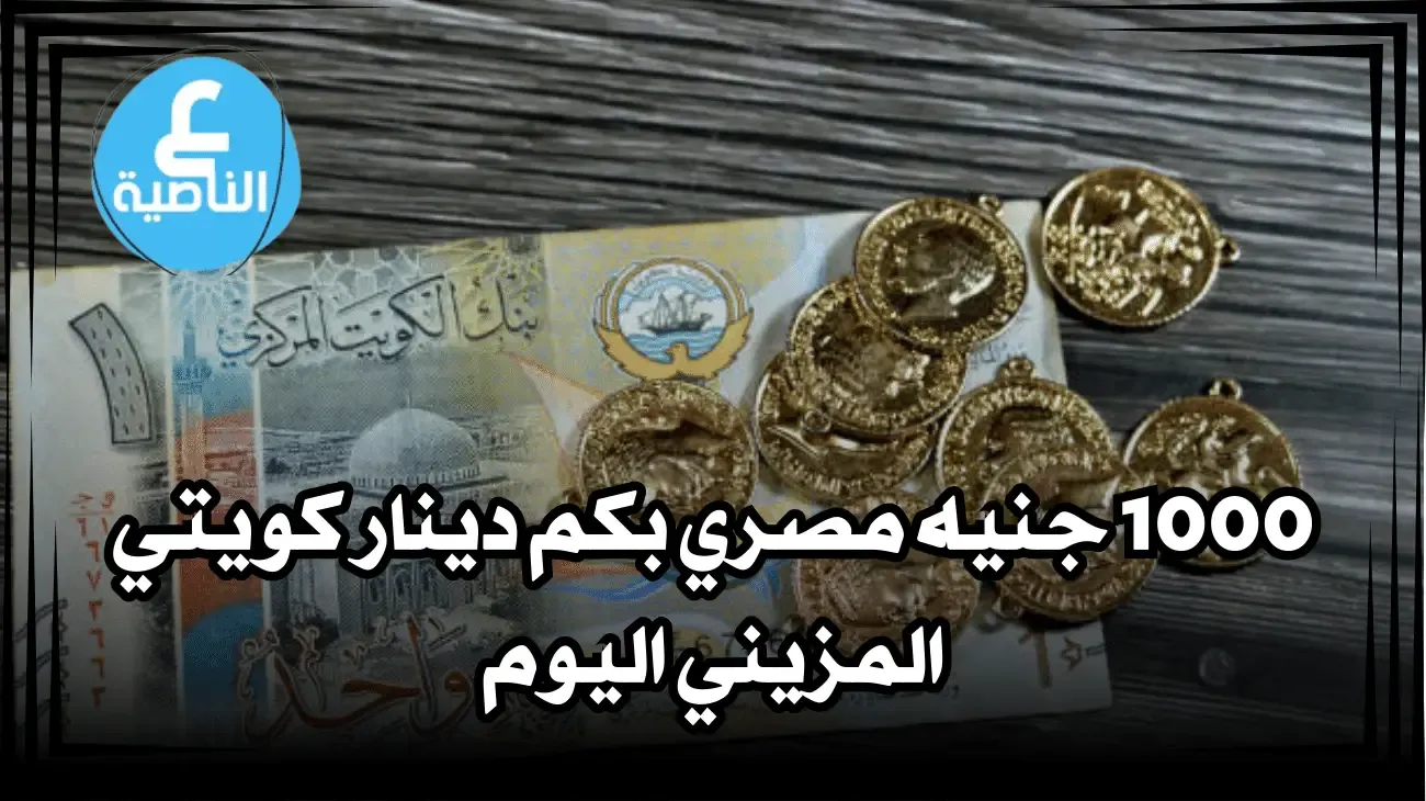 صرافة المزيني سعر التحويل اليوم - 1000 جنيه مصري بكم دينار كويتي المزيني اليوم