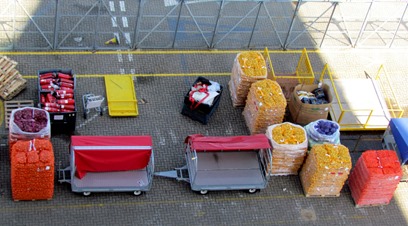 17050056 May 13 Fruit Awaiting Delivery