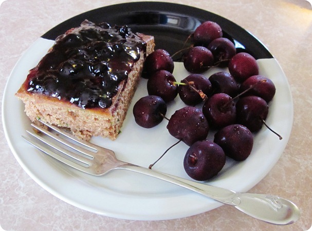 nature, breakfast, blueberry 046