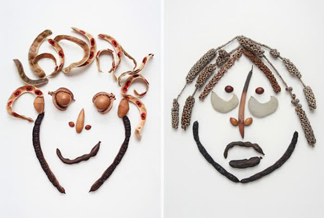 Creative pictures made of seed and seed pods