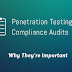 Why Yous Involve To Know Close Penetration Testing Too Compliance Audits?