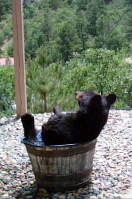 A Barrel of Bear ....