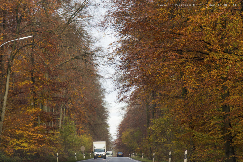estrada em luxemburgo no outono