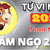 Tử Vi Tuổi Nhâm Ngọ 2002 Năm 2025 ( Ất Tỵ) - NAM MẠNG