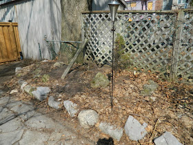 A Toronto Spring Cleanup in Riverdale Before by Paul Jung Gardening Services--a Toronto Gardening Company