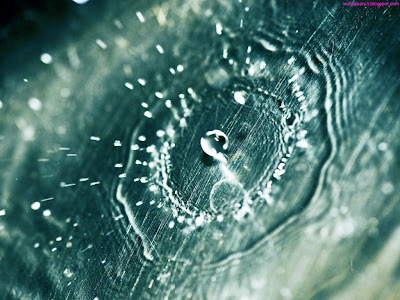 Water Drops 3D Standard Resolution Wallpaper