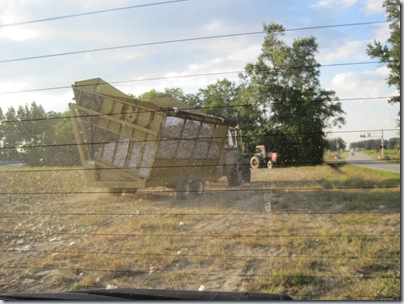 October farm 2010 047