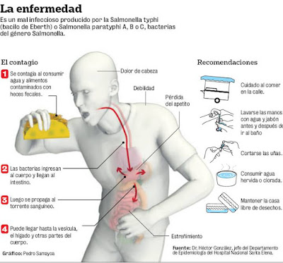 Fiebre tifoidea, que es la fiebre tifoidea, sintomas de la fiebre tifoidea, tratamiento de la fiebre tifoidea, tratamiento para la fiebre tifoidea, 