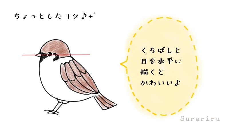 鳥のスズメ 雀 のイラストの簡単な描き方 遠北ほのかのイラストサイト