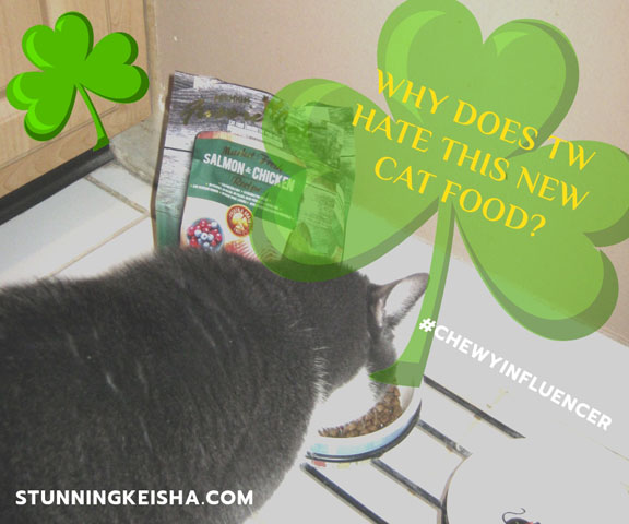 Why Does TW Hate This New Cat Food? #ChewyInfluencer