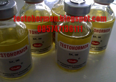 Jual Obat Hewan Testo Horomon